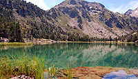 Lake in warm ecoregion