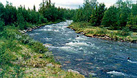 River in cold ecoregion