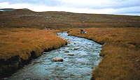 River in cold ecoregion