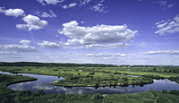 River in temperate ecoregion