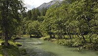 River in temperate ecoregion