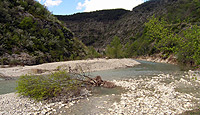 River in warm ecoregion