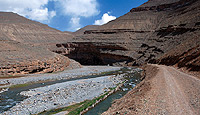 River in warm ecoregion
