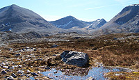 Wetlands in cold ecoregion