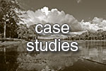 case studies