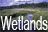 Wetlands