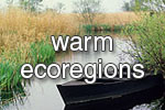warm_wetlands